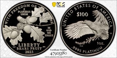 2023-W $100 Freedom of the Press First Strike PR70DCAM