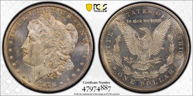 1878-CC $1 VAM 6, Doubled Leaves MS62