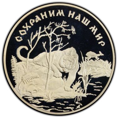 Cert 47982265 - Coin Image