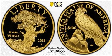 2023-W $100 American Liberty High Relief .9999 Fine PR69DCAM