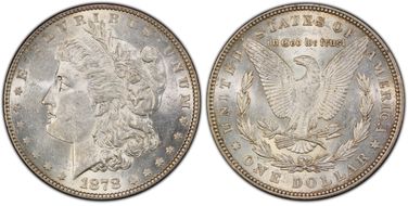 1878 7TF $1 VAM 223, Washed Out L AU58