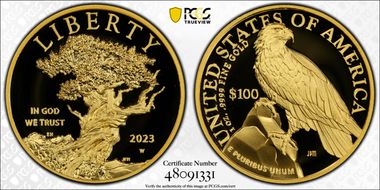 2023-W $100 American Liberty High Relief .9999 Fine First Strike PR70DCAM