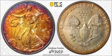 1996 $1 Silver Eagle MS66