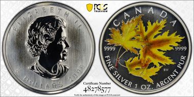 2006 $5 Silver Maple Colored MS69