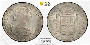 1790-L IJ 8 R Calico-904 MS61