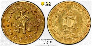 1909 1/2 DWT Alaska-Yukon-Pacific Expo N1