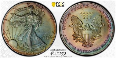 2002 $1 Silver Eagle N1