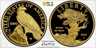 2023-W $100 American Liberty High Relief .9999 Fine PR69DCAM