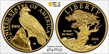 2023-W $100 American Liberty High Relief .9999 Fine PR70DCAM