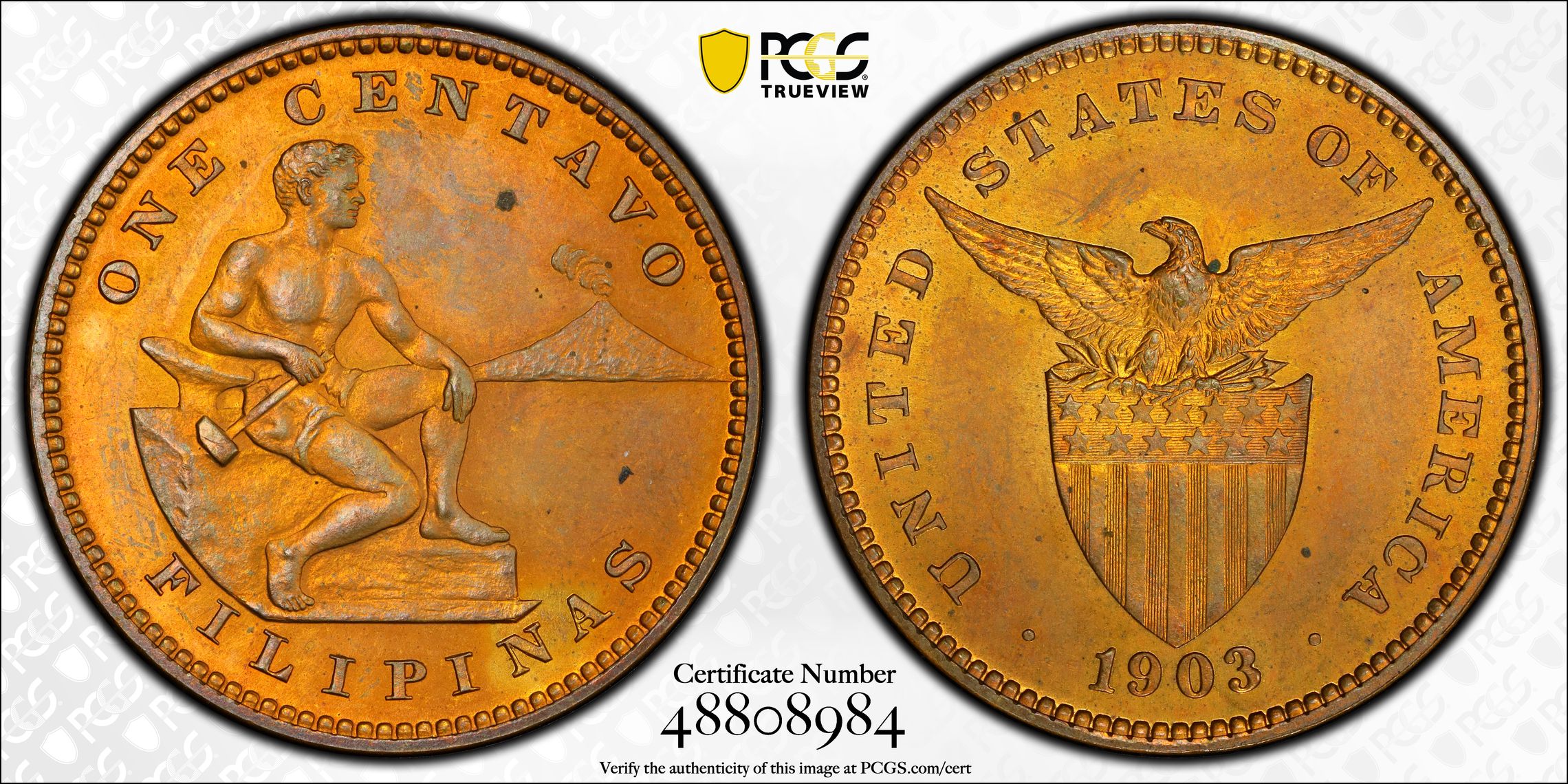 PCGS Certificate Verification Coin Details for Cert #48808984