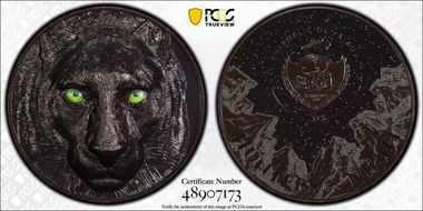 2020 $20 Black Panther Colorized Black Proof High Relief PR70