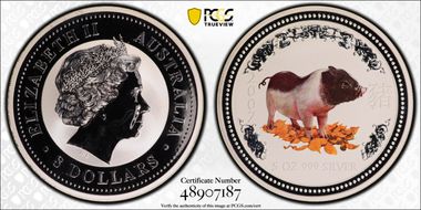 2007 $8 Year of the Pig 5oz Ag Colorized MS69