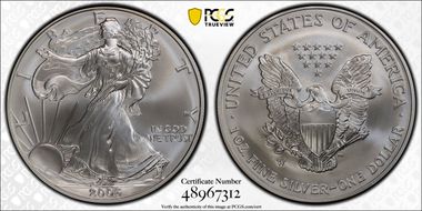 2006-W $1 Burnished Silver Eagle 20th Anniversary SP70