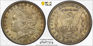 1896 $1 MS62