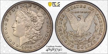 1878 8TF $1 VAM 14.17, Chip in Ear AU53