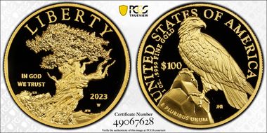 2023-W $100 American Liberty High Relief .9999 Fine First Strike PR70DCAM