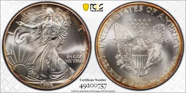 1995 $1 Silver Eagle MS69