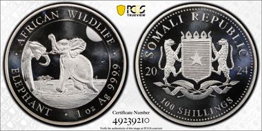 2024 100 S African Elephant Ag MS69