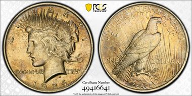 1924 $1 VAM 1G Wing Break MS63
