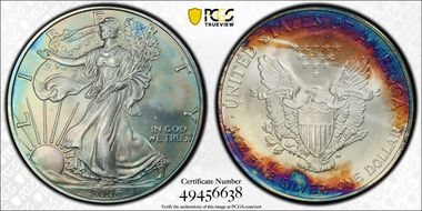 2006 $1 Silver Eagle MS66