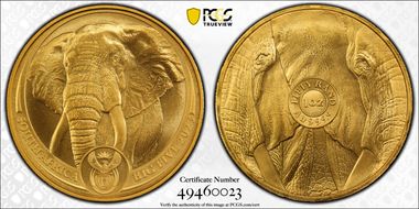 2023 50 Rand African Elephant 1 oz Au MS70
