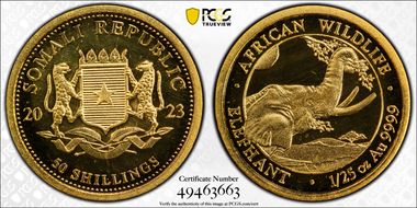 2023 50 Shil African Elephant 1/25 oz Au MS70