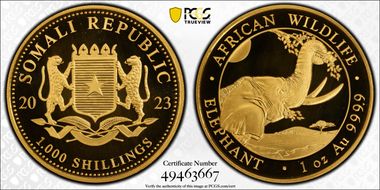 2023 1000 S African Elephant 1oz Au African Wildlife MS70