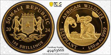 2024 100 Shil African Elephant 1/10 oz Au MS69