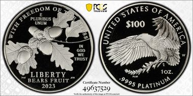 2023-W $100 Freedom of the Press PR69DCAM