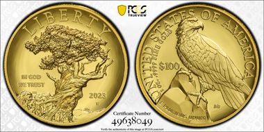 2023-W $100 American Liberty High Relief .9999 Fine PR70DCAM