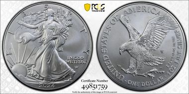 2024-W $1 Burnished Silver Eagle First Strike SP70