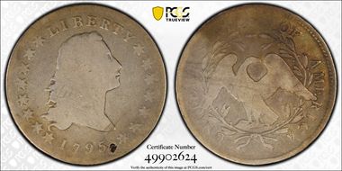 1795 $1 Flowing Hair, 2 Leaves N1