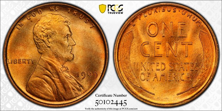 Cert 50102445 - Coin Image