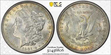 1901 $1 MS63