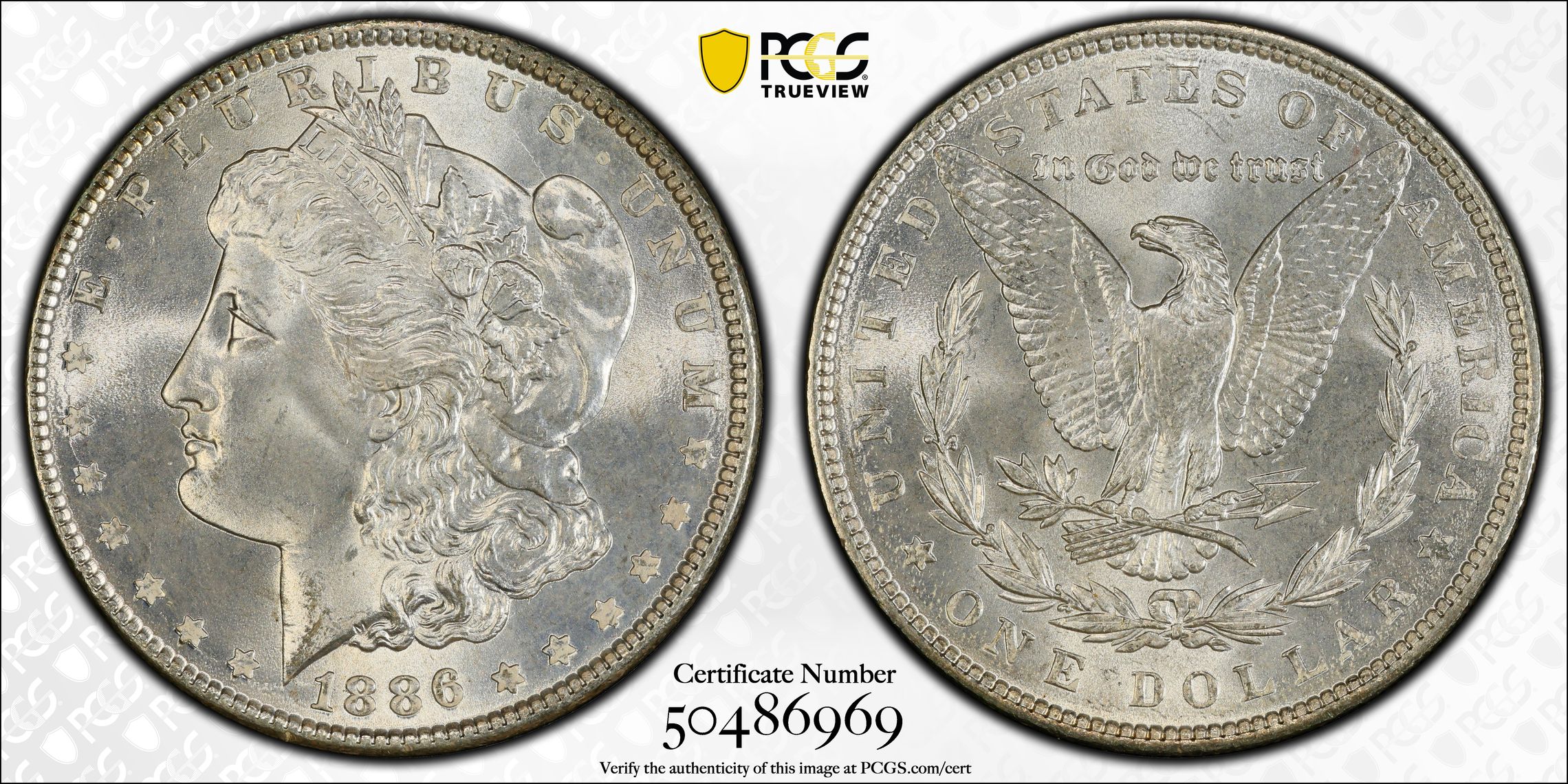 PCGS Certificate Verification Coin Details for Cert #50486969