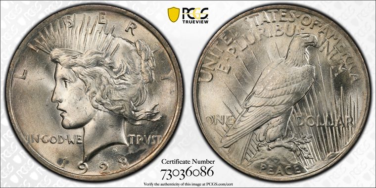 Cert 73036086 - Coin Image