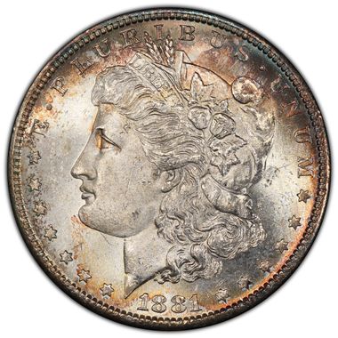 Cert 80480131 - Coin Image