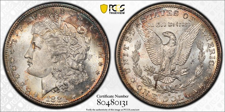 Cert 80480131 - Coin Image