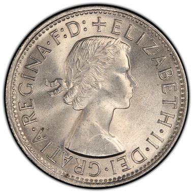 Cert 80480500 - Coin Image