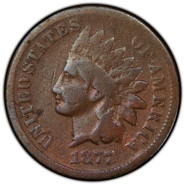 Cert 80550048 - Coin Image