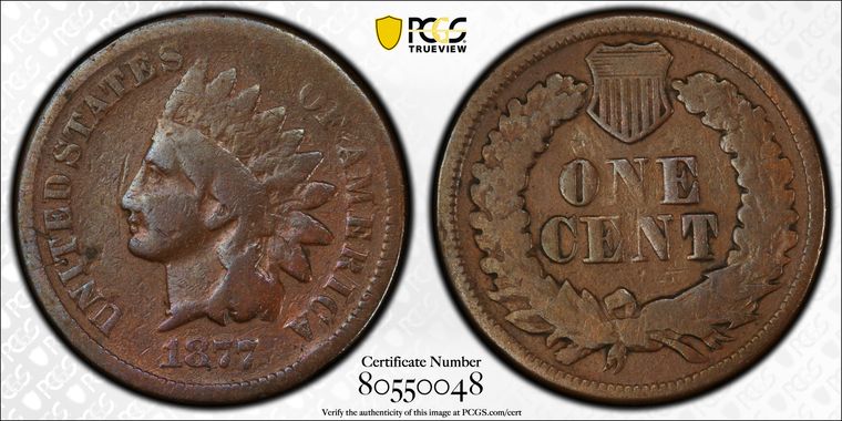 Cert 80550048 - Coin Image