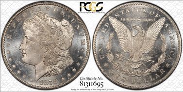 1878-CC $1 VAM 11, Lines in Wing N1