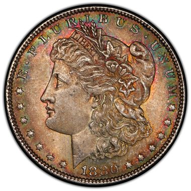 Cert 81311696 - Coin Image