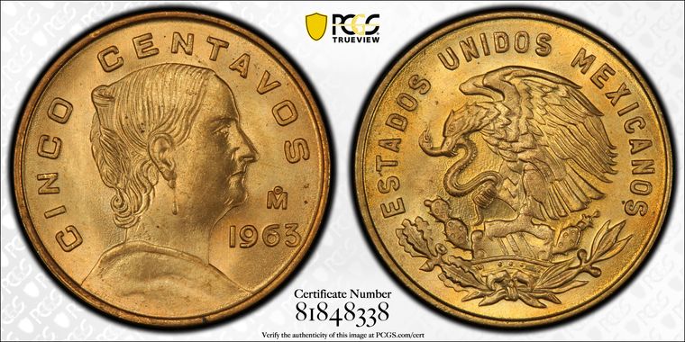 Cert 81848338 - Coin Image