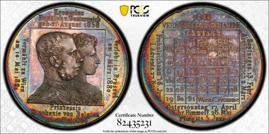 1881 Medal Hauser-381 Ag SP62