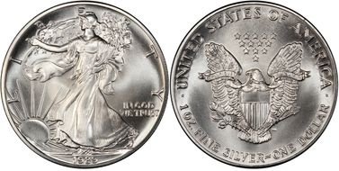 1989 $1 Silver Eagle MS70