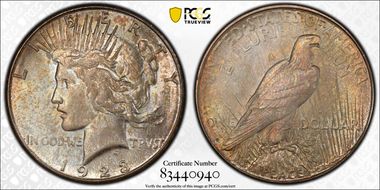 1923-S $1 VAM 1C Pitted Reverse MS63