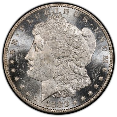 Cert 84300576 - Coin Image