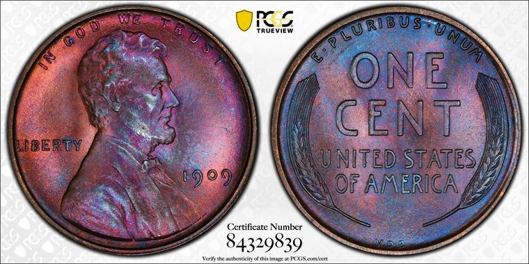 Cert 84329839 - Coin Image