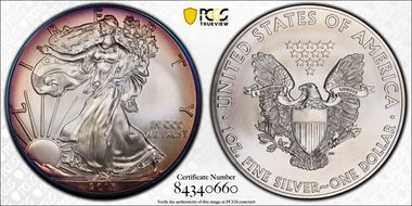 2013 $1 Silver Eagle MS69